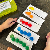 Caterpillar Color Matching Fun Activity